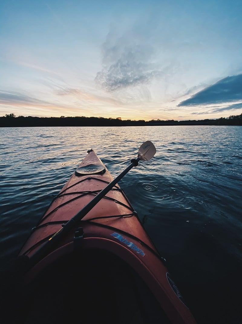 Paddle