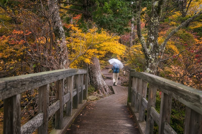 Hiking Clothing Layers