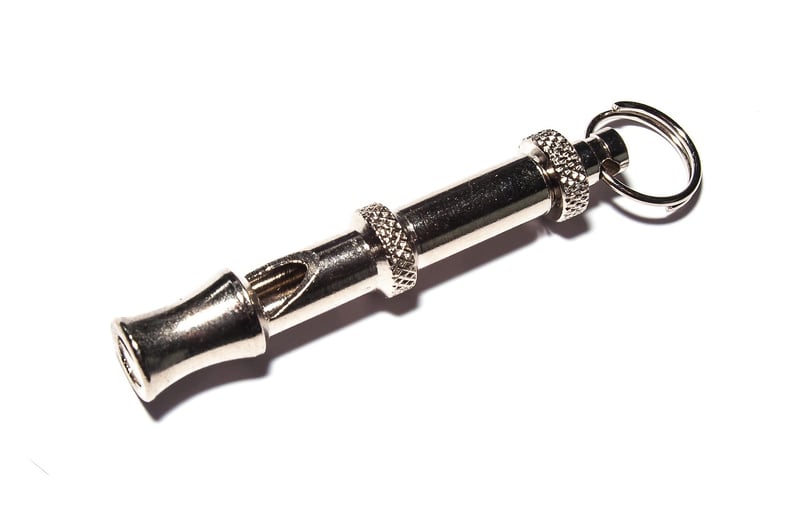 Safety Whistle